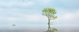 2025考研網(wǎng)報(bào)信息_考研網(wǎng)上確認(rèn)_現(xiàn)場確認(rèn)_網(wǎng)報(bào)公告：江蘇省2025年全國碩士研究生招生考試關(guān)于網(wǎng)上報(bào)名、確認(rèn)和準(zhǔn)考證打印等注意事項(xiàng)